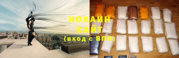 эйфоретик Бородино