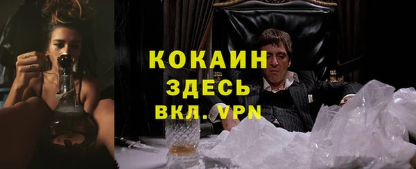 эйфоретик Бородино