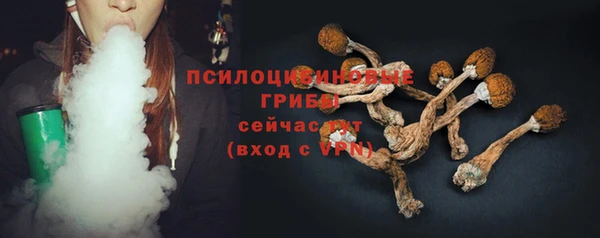твердый Бугульма