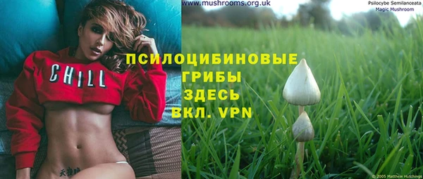 трава Верхний Тагил