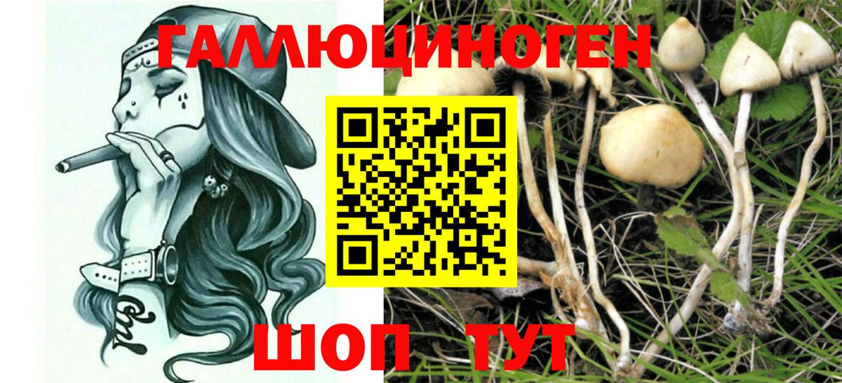 Верхняя Пышма  Галлюциногенные грибы Magic Shrooms  Вход с VPN 